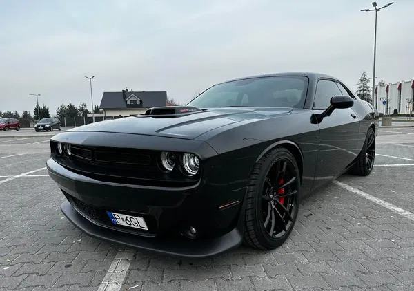 dodge wielkopolskie Dodge Challenger cena 235000 przebieg: 9000, rok produkcji 2021 z Września